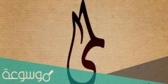 معنى اسم لمى وصفات صاحبة الاسم