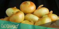 أكثر دول العالم إنتاجا للبصل