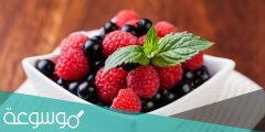 دور التوت البري في تنشيط الخلايا الدهنية و حرق الدهون