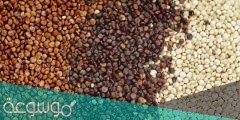 مقارنة بين الكينوا و البرغل و أيهما أفضل