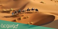 قبيلة العرفج وش يرجعون