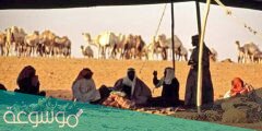 اليحيى وش يرجعون