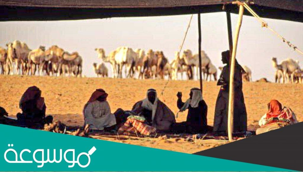 اصل عائلة الرميزان من الرياض